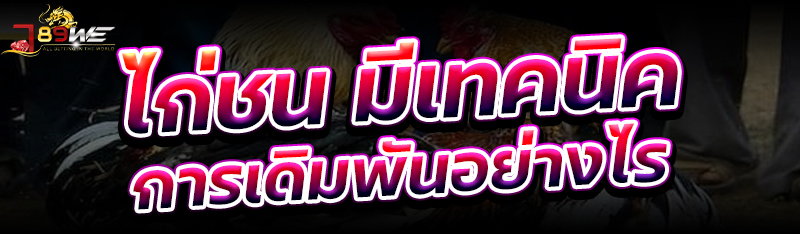 ไก่ชน มีเทคนิคการเดิมพันอย่างไร