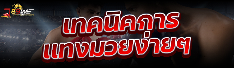 เทคนิคการเเทงมวยง่ายๆ