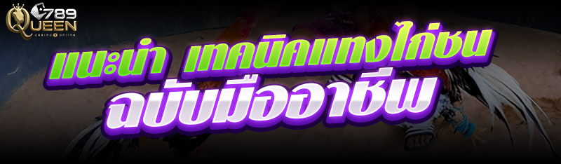 แนะนำ เทคนิคแทงไก่ชน ฉบับมืออาชีพ