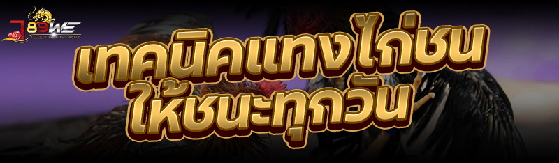 เทคนิคแทงไก่ชนให้ชนะทุกวัน