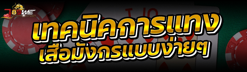 เทคนิคการแทงเสือมังกรแบบง่ายๆ